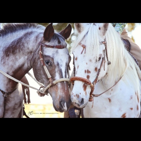 rustic_gypsy
